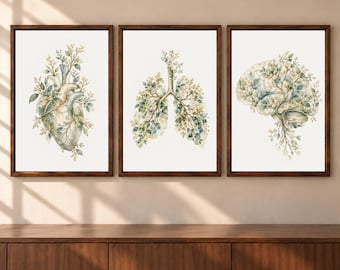 May include: A set of three framed wall art prints featuring anatomical illustrations of a human heart, lungs, and brain. Each organ is depicted with intricate botanical elements, including green leaves and small branches, in a soft watercolour style.