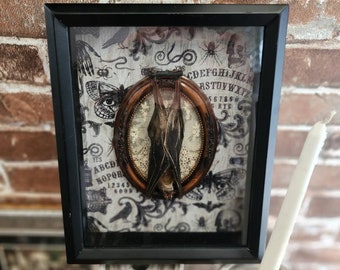Real Taxidermy Hanging Bat CYNOPTERUS SPHINX Victorian Gothic, Steampunk Art Shadow Box, Framed Mammal, Table or Wall Decor