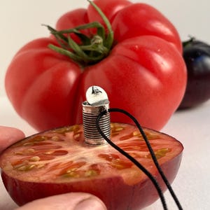 Miniature CAN OF TOMATO, Sterling silver necklace, Pendant unisex, Miniature jewelry, Original pendant, Aged silver