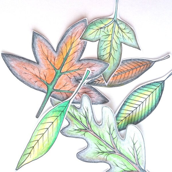 Leaf Cutouts. Handdrawn Colouring Design, mixedmedia cutout ,stress free, downloadable, printable