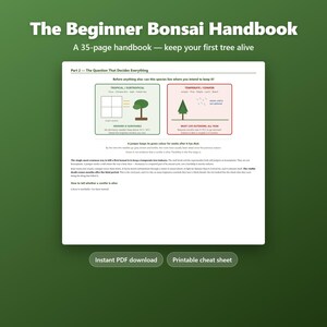 Op de afbeelding: Het Beginner Bonsai Handbook is een gids van 35 pagina's met een pagina getiteld Part 2 - The Question That Decides Everything. Het bevat diagrammen die tropische en gematigde soorten vergelijken, tekst over jeneverbesverzorging en overlevingstips.