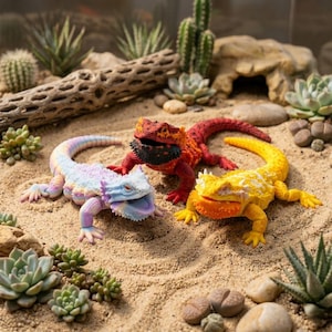 Può includere: Tre statuette di lucertole articolate disposte sulla sabbia. Una lucertola è color arcobaleno pastello con la testa bianca, una è rosso brillante con la gola nera e una è giallo vivace con accenti arancioni. Aspetto testurizzato e squamoso.