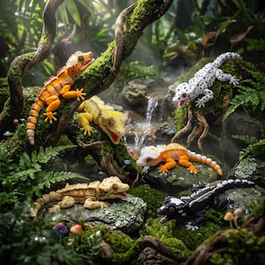 Könnte beinhalten: Fünf bewegliche Gecko-Figuren in verschiedenen Farben, darunter Orange, Gelb, Weiß mit schwarzen Punkten und Schwarz mit weißen Mustern. Die Figuren sind auf moosbedeckten Steinen und Ästen in einer üppigen, grünen Waldumgebung platziert.