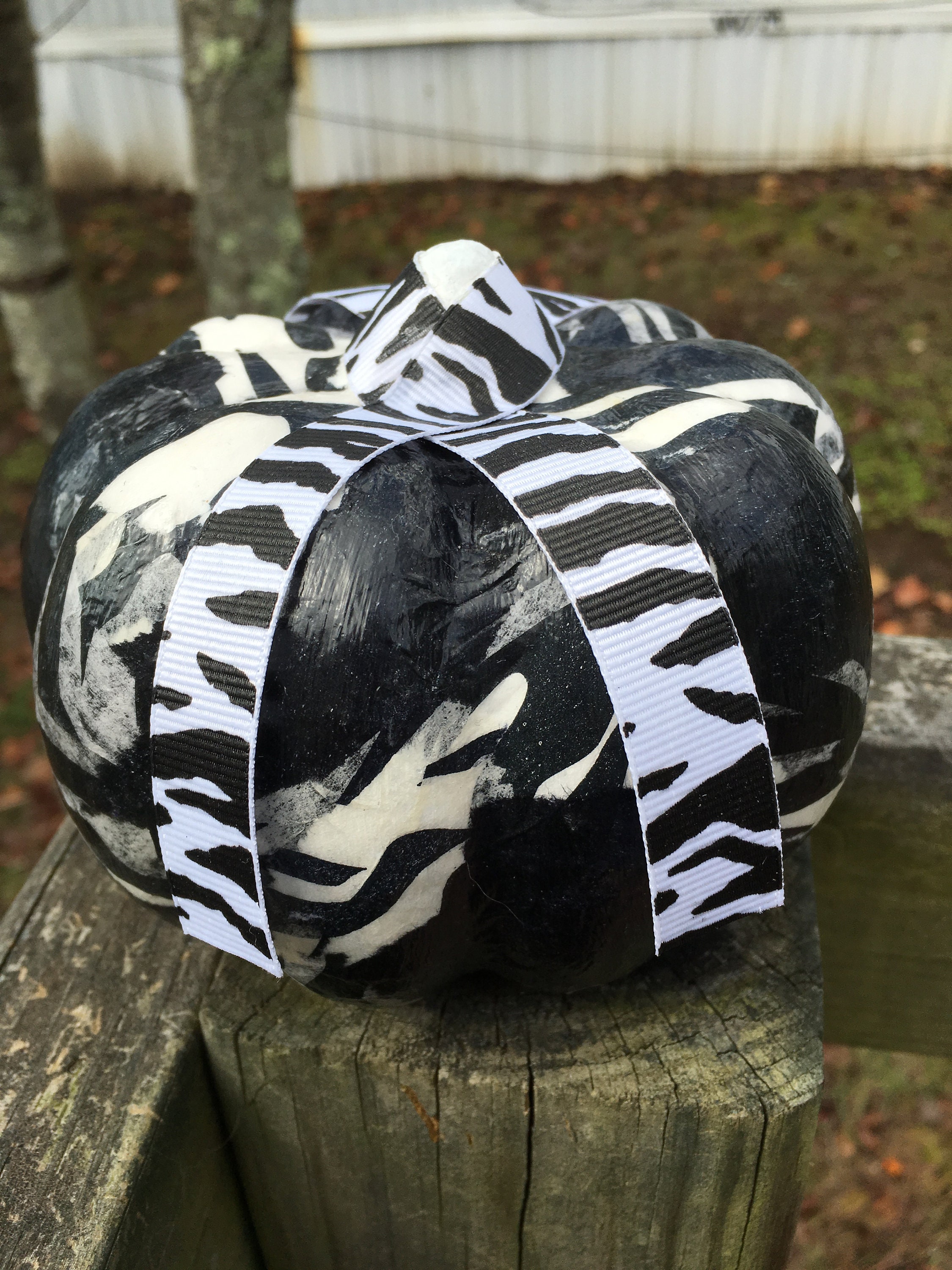 Zesty Zebra Decoupaged Tissue on Paper Mache Small Pumpkin Etsy