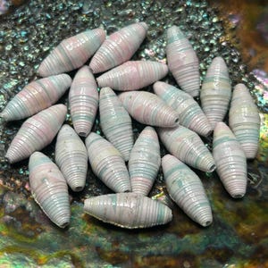 May include: A collection of white and light blue paper beads. The beads are rolled and have a striped pattern. The beads are displayed on an iridescent surface.