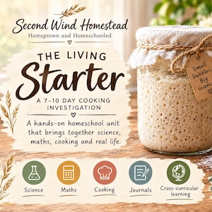 Puede incluir: Un frasco de vidrio lleno de masa madre burbujeante, cubierto con una tela y una etiqueta de papel marrón que dice 'Small bubbles... Big science!'. El texto 'Second Wind Homestead', 'THE LIVING Starter' y 'A 7-10 DAY COOKING INVESTIGATION' aparece junto a iconos de ciencia, matemáticas, cocina, diarios y aprendizaje interdisciplinario.