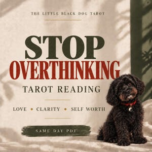 May include: A small black dog with curly fur sits next to text that reads: THE LITTLE BLACK DOG TAROT, STOP OVERTHINKING, TAROT READING, LOVE, CLARITY, SELF WORTH, and SAME DAY PDF. The dog wears a red collar with a yin-yang charm.