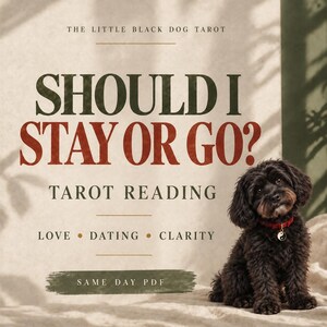 Op de afbeelding: Een kleine zwarte hond met een rode halsband en yin-yang bedel zit naast de tekst: THE LITTLE BLACK DOG TAROT, SHOULD I STAY OR GO?, TAROT READING, LOVE DATING CLARITY en SAME DAY PDF op een lichtbeige achtergrond.