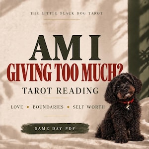 May include: A graphic featuring a small black curly-haired dog wearing a red collar with a yin-yang charm. The text reads: THE LITTLE BLACK DOG TAROT, AM I GIVING TOO MUCH?, TAROT READING, LOVE, BOUNDARIES, SELF WORTH, SAME DAY PDF.