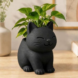 May include: A matte black cat-shaped planter with a textured surface, featuring a smiling face with closed eyes and whiskers. The planter holds a green leafy plant with variegated yellow and green foliage, emerging from the top opening.