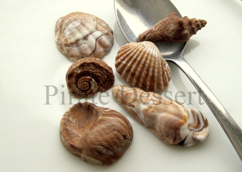 12 Shells Chocolate Swirl Cupcake toppers -CANDY SEA SHELLS -Under the Sea -Fondant Cupcake Toppers mixed Size Edible cake decorations