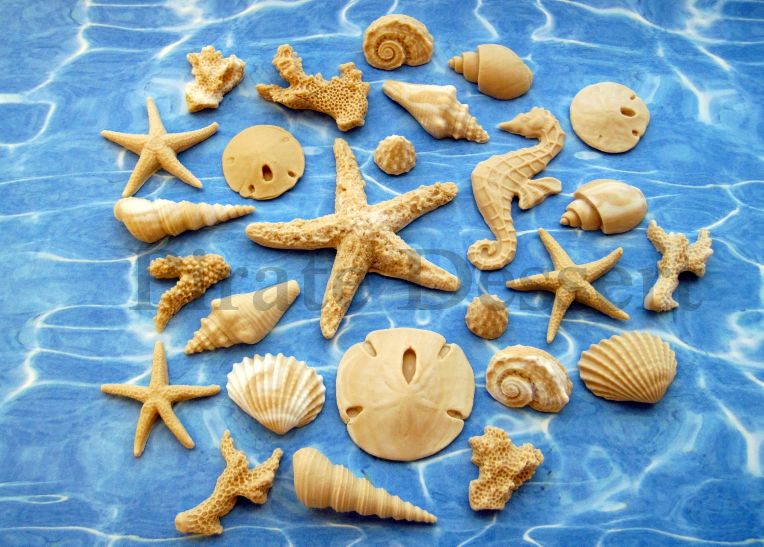 DELUXE Edible Sea Creaturessea Shellunder the Sea Cupcake Etsy