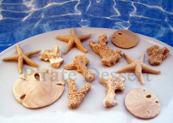 Edible Sea Creatures Candy Sea Shells Under The Sea Cupcake Etsy