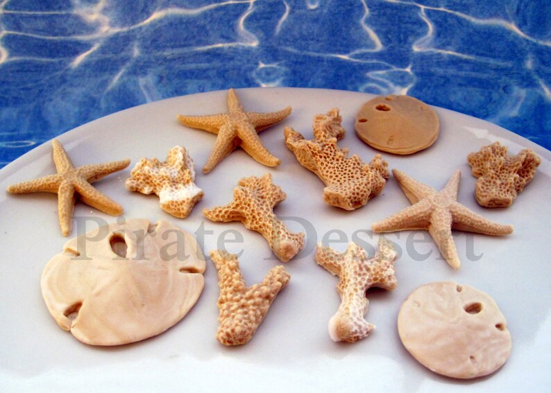 Edible Sea Creatures Candy Sea Shells Under The Sea Cupcake Etsy