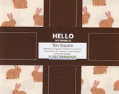Flannel 39 Ten-Square Neutrals 39 42 pieces of 10-inch precut squares 100 Cotton by Robert Kaufman