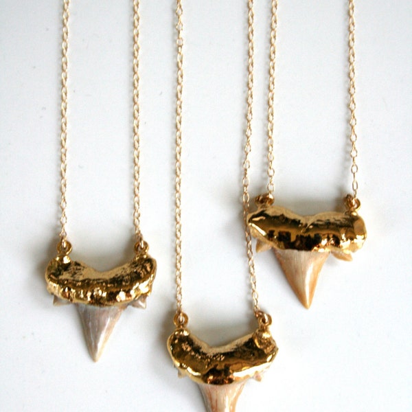 24k Gold Dipped Shark Tooth Necklace - Small. Double Connected. CHOOSE YOUR TOOTH.