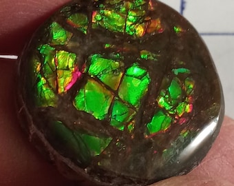 Canadain Ammolite Cabochon Bright green yellow red Loose Stone,Natural