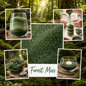 Collage of Forest Moss sand project ideas: layered vase, sand art jar, geometric dry terrarium, and tealight candle holder