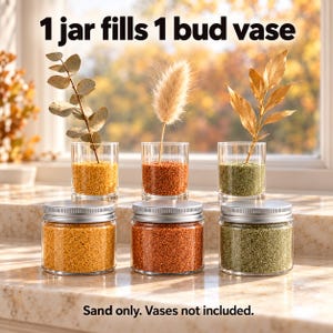 Infographic showing three jars of colored quartz sand filling three bud vases with dried
botanical stems, ideal for dry terrarium and home decor styling.