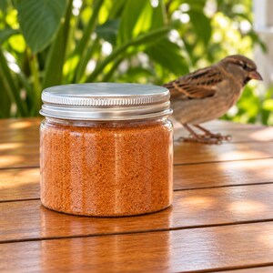 Closed clear jar of terracotta orange colored quartz sand with a silver metal screw lid on a sunlit wooden outdoor table, with a small brown sparrow standing behind it and tropical green leaves in the background.