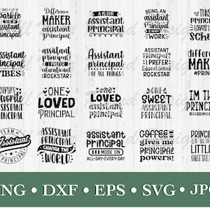 Assistant Principal SVG PNG DXF Eps Jpg File Bundle, Asst Principal Teacher School Cutting Files For Cricut and Silhouette, T-Shirt Design image 1