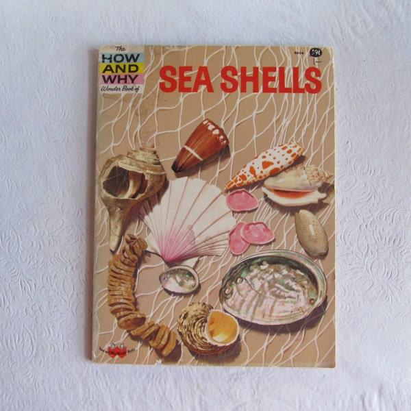 60s Kids SEASHELL book HOW and WHY series. science ephemera vintage school kid