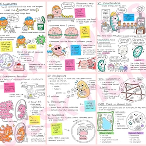 Puede incluir: Un póster educativo de biología con ilustraciones de dibujos animados hechas a mano y texto que explica los orgánulos celulares, incluidos lisosomas, ribosomas, mitocondrias, retículo endoplásmico y el citoesqueleto.
