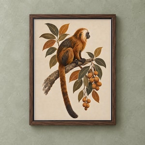 May include: A framed wall art print featuring a golden lion tamarin monkey with orange and black fur perched on a textured tree branch. The monkey is surrounded by green and brown leaves and a cluster of small round brown fruits hanging downward.