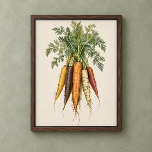 May include: A framed botanical print featuring a bunch of heirloom carrots in various colours including yellow, purple, orange, white, and red. The carrots have green leafy tops and are displayed against a cream-coloured background in a dark wood frame.