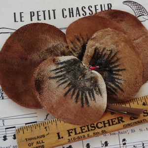 Könnte beinhalten: Eine braune Samtblume mit schwarzen Akzenten und einem roten Zentrum, die auf Noten liegt. Der Text "LE PETIT CHASSEUR" ist sichtbar. Ein Holzlineal mit Text ist ebenfalls vorhanden.