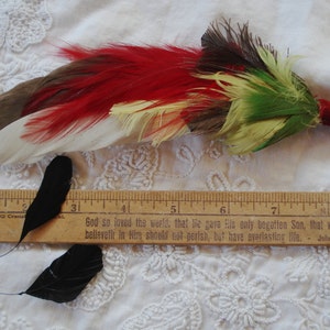 Antique French Multi Colored Curled Millinery Ostrich Feather Plume Flapper Bonnet Vintage Hat Vintage Cloche Fedora Edwardian Ribbon Trim