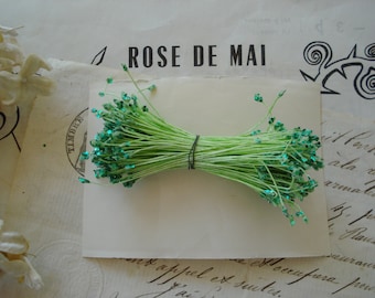 May include: A bunch of green stems with teal glitter tips, tied together with a black rubber band. The stems are arranged in a bow shape. The text "ROSE DE MAI" is visible in the background.