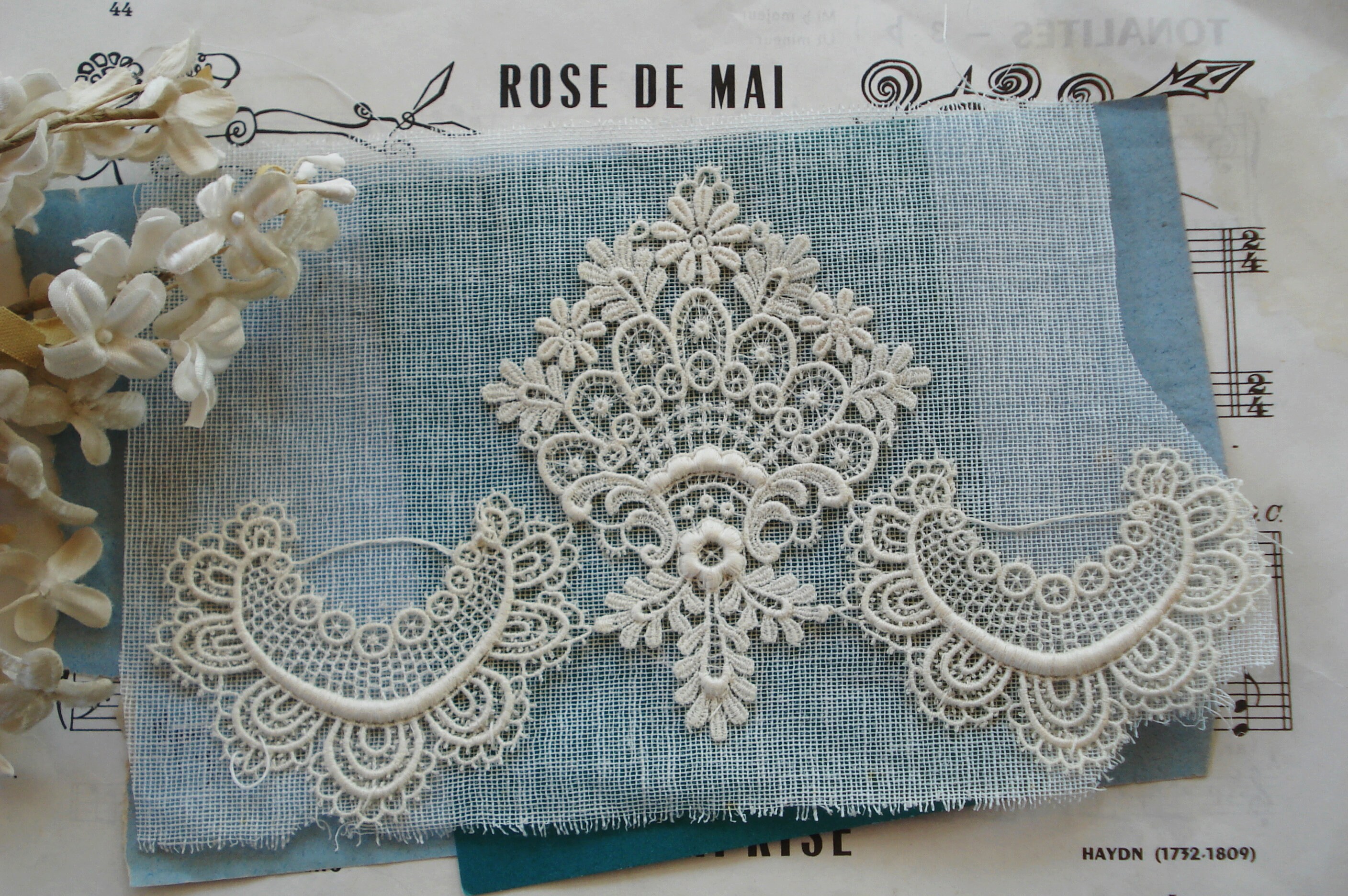 Français anciens dentelle coton fleuri brodé Schiffli Venise clapet Applique ruban Edwardian robe corsage victorien robe Vintage Français anciens dentelle coton fleuri brodé clapet Schiffli Venise clapet brodé Applique ruban Edwardian robe corsage victorien robe Vintage 37cbbb