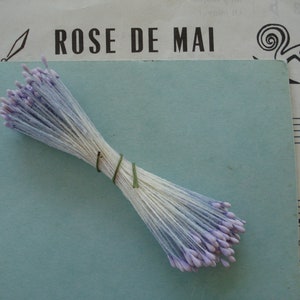 May include: A bundle of white and lavender flower stamens, tied with a green ribbon. The stamens are arranged in a fan shape and are ready to be used for crafting or decorating.