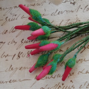 May include: A bunch of pink and green artificial flower stems with fuzzy green leaves. The stems are arranged in a fan shape and are lying on a piece of paper with handwritten text.