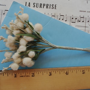 Könnte beinhalten: Ein Bund cremefarbener, pomponartiger Blumen mit grünen Blättern und Stielen, zusammengebunden. Die Blumen liegen auf einer hellblauen Oberfläche mit Noten und dem Text "LA SURPRISE" im Hintergrund. Ein Holzlineal ist ebenfalls vorhanden.