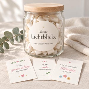 May include: A clear glass jar with a wooden lid filled with small rolled paper scrolls. The jar features a round label with the text "kleine Lichtblicke ein Glas voller Mutmacher". Three rectangular cards with German text and small heart and flower illustrations are placed in front.