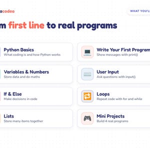 K&ouml;nnte beinhalten: Eine p&auml;dagogische Infografik mit dem Titel From first line to real programs von novacodea. Sie listet acht Programmiermodule auf: Python Basics, Write Your First Program, Variables & Numbers, User Input, If & Else, Loops, Lists und Mini Projects.