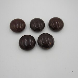 May include: Five dark brown, round objects with a glossy finish are arranged on a white surface. The objects appear to be smooth and uniform in shape, with subtle variations in color and highlights.