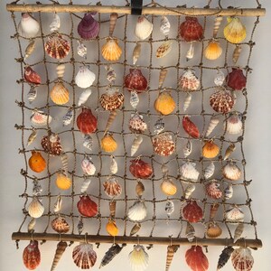 Colorful Sea Shell & Ropewall Hanging - Etsy