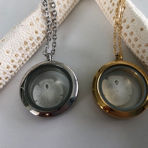May include: Two silver and gold locket necklaces with a sand dollar inside. The lockets are round and have a clear glass cover. The necklaces are on a white background.