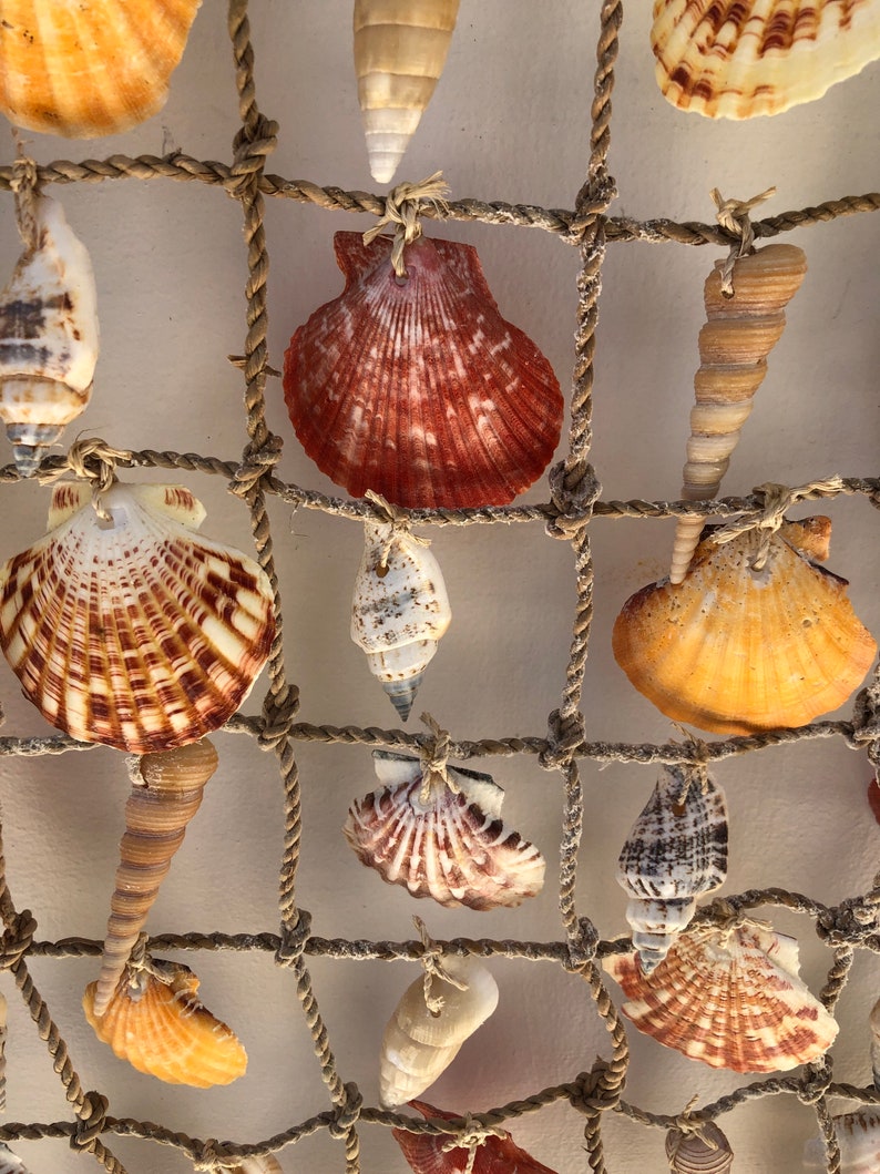 Colorful Sea Shell & Ropewall Hanging - Etsy