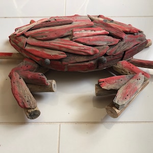 Blue/Red Driftwood Crab