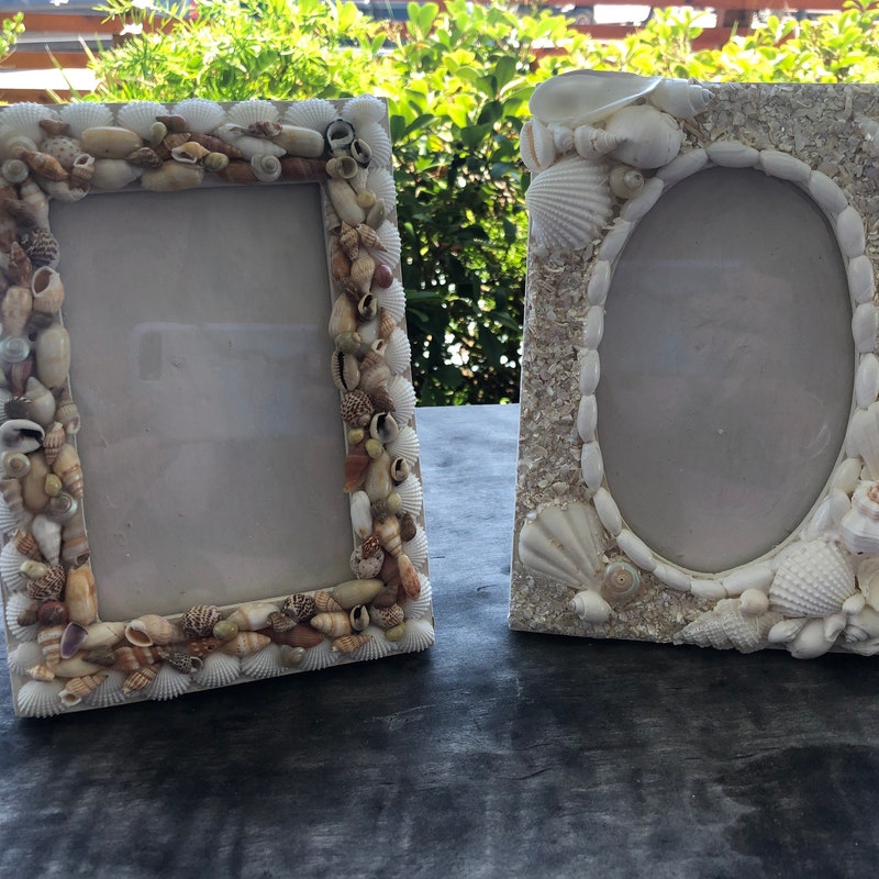 Seashell Frame - Etsy