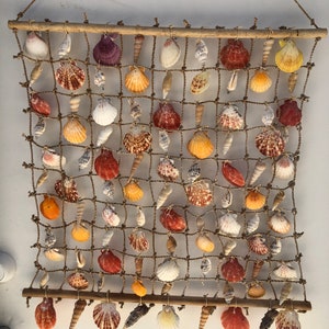 Hanging Sea Shell Cluster for Wall Decoration l Buy Décor in UK