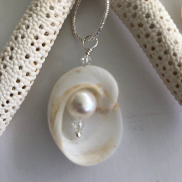 Pearl with Baby's Ear Shell Necklace