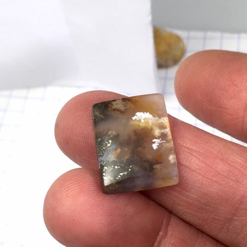 Graveyard Point Plume Agate cabochon
