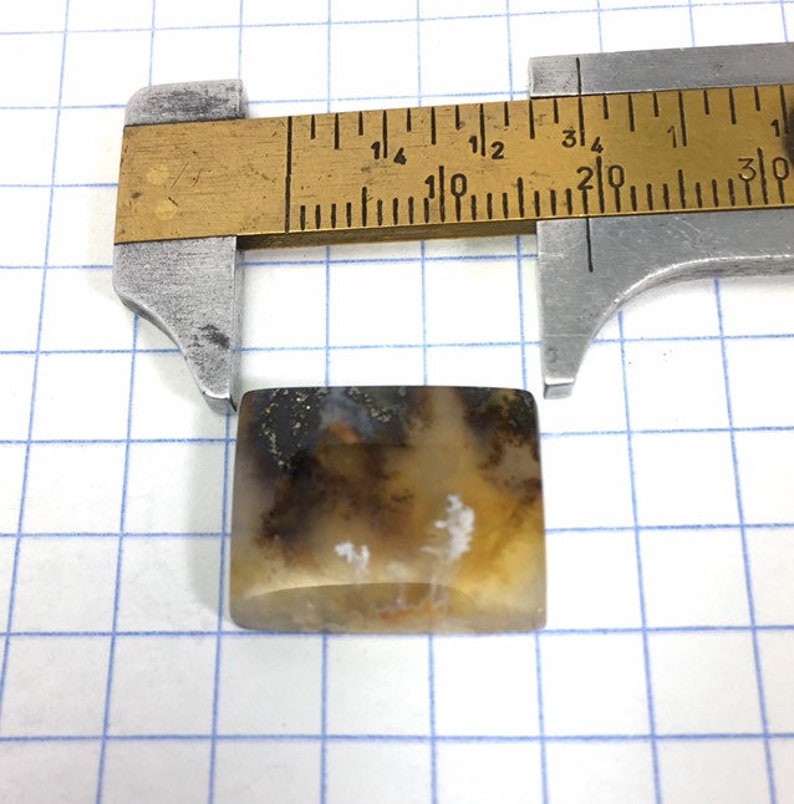Graveyard Point Plume Agate cabochon
