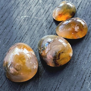Parzelle 4 Cabochons Graveyard Point Plume Agate.