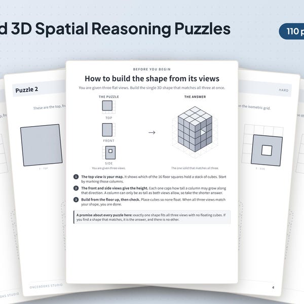 Hard 3D Spatial Reasoning Puzzles: Visual Logic Workbook